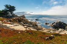 17 Mile Drive Coastal Front In Pacific Groove
