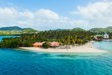 Wall Mural - View of the Caribbean island of Martinique French Polynesia. The coast of Martinique with turquoise water, palm trees and a gorgeous beach.