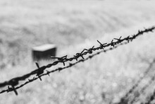 A Close View The Fence Of The Auschwitz Concentration Camp In Poland.