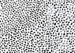 Watercolor dots background. Randomly placed polka dots, hand drawn spots seamless pattern. Scattered big and small circles, points in various sizes. Decorative black and white design tiles.