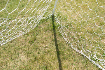 net on the grass