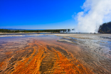 Old Faithful Geyser Eruption, Wonderful natural landscape. Yellowstone National Park is famous for its rich wildlife species and geothermal resources.