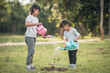 © FAMILY STOCK - Asian sibling watering young tree on summer day