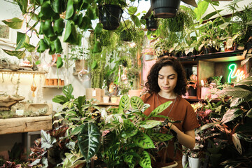 Wall Mural - Young saleswoman caring about green plants and flowers while working in flower shop