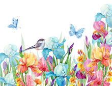 Irises And A Bird And Butterflies.Beautiful Floral Background For Postcards On An Isolated White Background