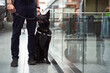 Security worker with detection dog standing by glass wall at airport