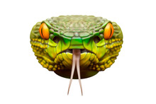 Head Of A Green Snake. Front View. 3d Illustration