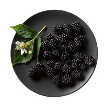 Blackberries And White Flower On Black Plate Isolated On White Background. Top View, Close-up.