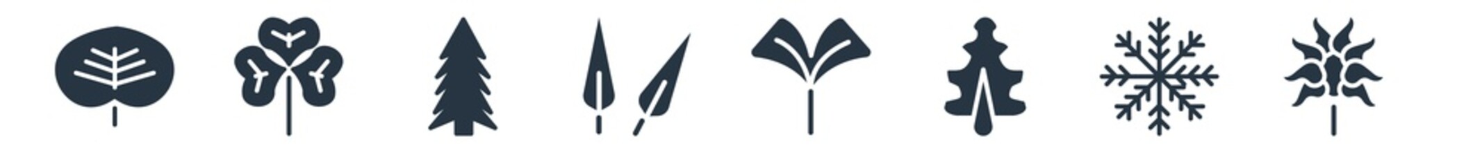 nature filled icons. glyph vector icons such as nut leaf, big snowflake, pedunculate, ginkgo, subulate, spruce, trifoliate ternate sign isolated on white background.
