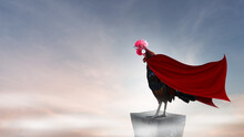Super Hero Brown Rooster Perched On The Rocky Mountain
