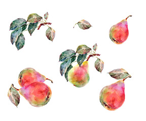 Wall Mural - Set of watercolor pears with leaf.