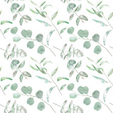 Fototapeta  - Watercolor Seamless Eucalyptus Pattern. Hand drawn ornament with green leaves and branches composition on white Background. Design for wrappers, postcards, backdrop and greeting cards