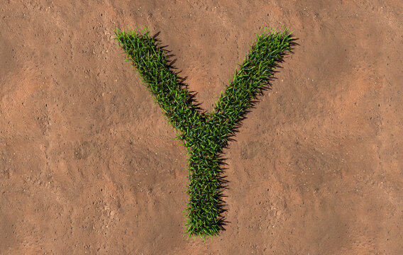 Concept conceptual green summer lawn grass symbol shape on brown soil or earth background, font of Y. 3d illustration metaphor for nature, conservation, organic, growth, environment, ecology, spring