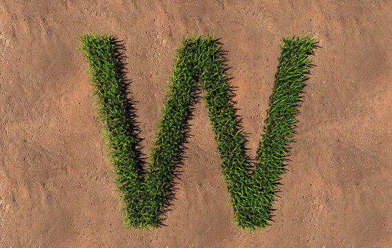 Concept conceptual green summer lawn grass symbol shape on brown soil or earth background, font of W. 3d illustration metaphor for nature, conservation, organic, growth, environment, ecology, spring