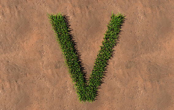 Concept conceptual green summer lawn grass symbol shape on brown soil or earth background, font of V. 3d illustration metaphor for nature, conservation, organic, growth, environment, ecology, spring