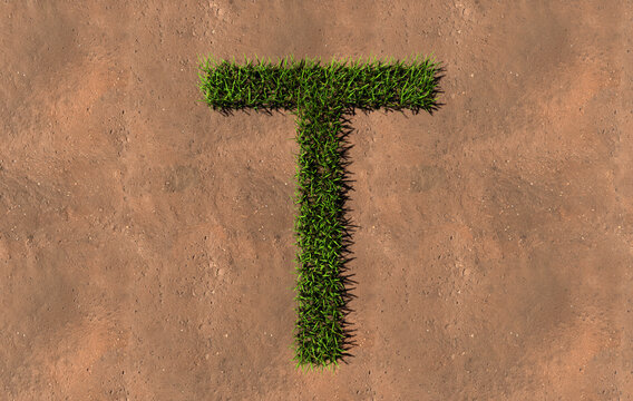 Concept conceptual green summer lawn grass symbol shape on brown soil or earth background, font of T. 3d illustration metaphor for nature, conservation, organic, growth, environment, ecology, spring