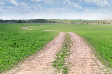 Landscape - road in the countryside on sunny summer day