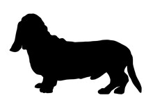 Basset Hound Dog Silhouette, Vector Illustration Silhouette Of A Dog On A White Background.