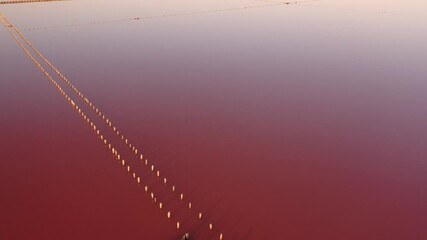 Wall Mural - Salt lake Sasyk  Sivash in Crimea. Pink red lake  in Evpatoria on the sunset in summer day.  Salt mining in Crimea.