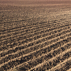 Deep furrows in a plowed field close-up