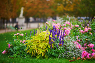 Beautiful fall day in Tuileries garden, Paris