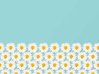 Daisy flowers Seamless pattern with copy space Top view photo with chamomiles on blue backdrop