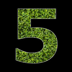 Number 5 - Artificial green grass background.