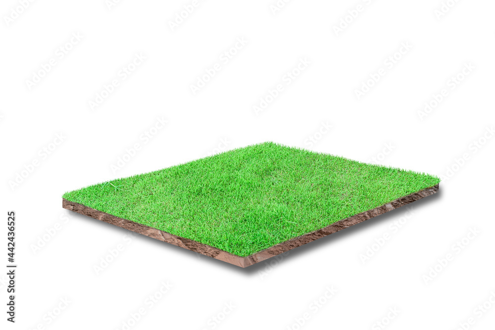 3D render. Soil cubical cross section with green grass isolated on ...
