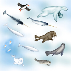 Wall Mural - set of wildlife creatures of Arctic Ocean 