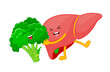 Human liver and broccoli cartoon characters. Healty food for liver concept. Vector illustration.
