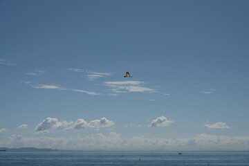 Wall Mural - sea and sky