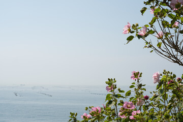 Wall Mural - Pink flowers and summer sea