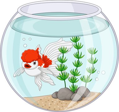 Cartoon oranda goldfish swimming in fishbowl
