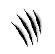 Beast claw marl scratches, tiger or animal paw nails marks, vector. Wild cat or lion and bear claw slashes, monster beast or werewolf attack paw scratches and shred traces, torn paper background