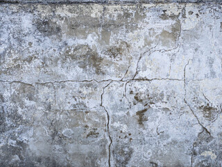 Wall Mural - Concrete floor tile