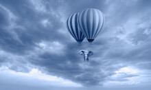 An African Elephant Flying In The Sky With Hot Air Balloon Amazing Cloudy Sky In The Background