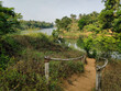 A path leading down to the River Cauvery flowing through the forest in Coorg in south India