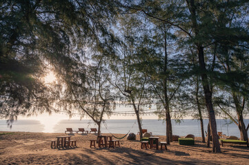 Poster - Beautiful tropical beach with sunlight shining through trees in the evening