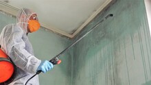 Mold Inspection And Remediation. Toxic Black Mold Removal Disinfector Specialist. Cleaning And Disinfecting Walls At Home