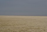 Fototapeta Na ścianę - Empty beach at the North sea at a cloudy day