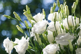 Close up of a bouquet of fresh white eustoma on a blur background sunny day. Bunch of flowers