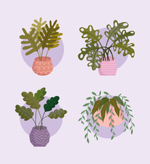 Poster - house interior plants