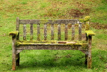 A Very Mossy Garden Seat, Ready To Be Cleaned.