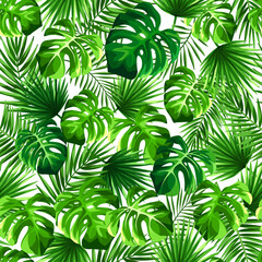 Wall Mural - Vector tropical seamless pattern with green monstera and palm leaves on a white background.