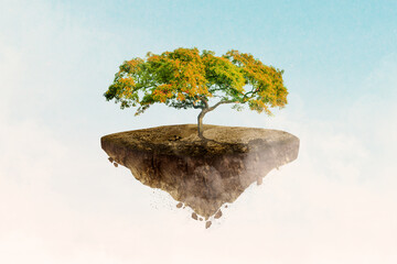 Wall Mural - Floating dry soil on the sky with big tree