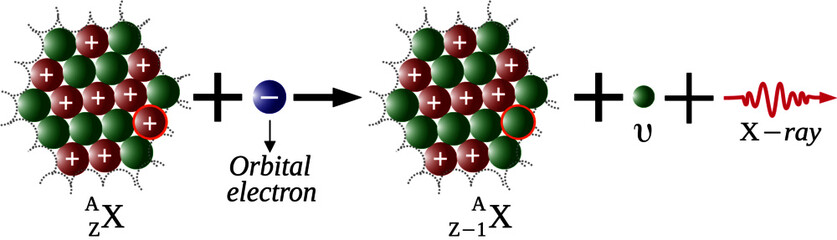 Fototapete - electron capture is a mode of beta decay in which an electron of low-energy is captured by the atomi