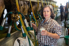 Portrait Of An Elderly Woman Standing Near A Milking Machine On A Livestock Farm, Holding A Glass Of Milk In Her Hand