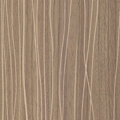 Wall Mural - texture of wood