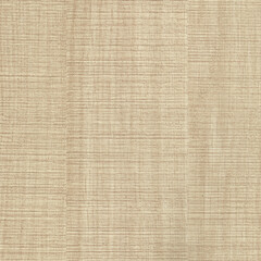 Wall Mural - Beige canvas texture