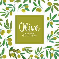 Poster - promo card with olive branch as organic product vector template